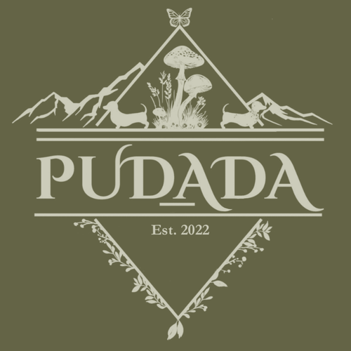 Pudada 